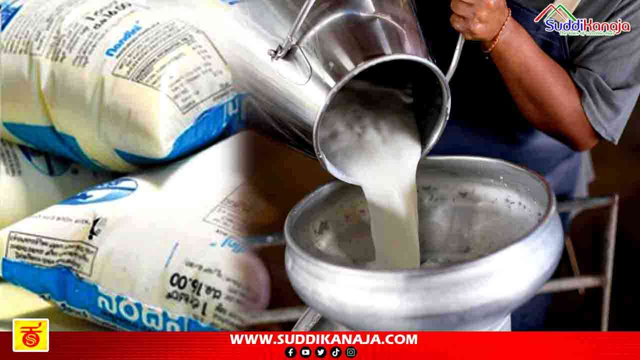 Nandini milk