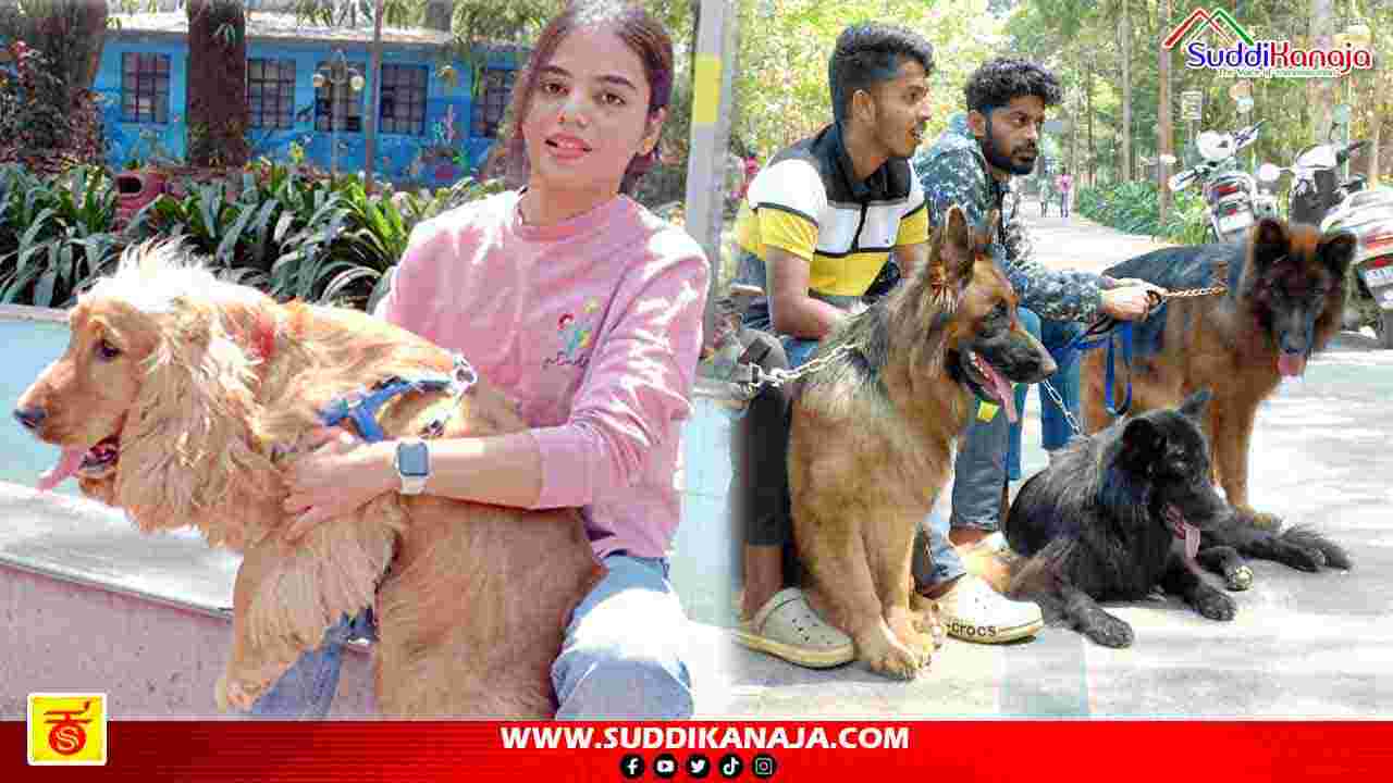 DOG SHOW Gandhi Bazar 1
