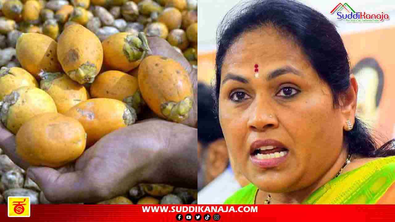 Arecanut Import| ಅಡಿಕೆ ಕನಿಷ್ಠ ಆಮದು ದರ ಹೆಚ್ಚಳದ ಬಗ್ಗೆ ಮಹತ್ವದ ಹೇಳಿಕೆ ನೀಡಿದ ಕೇಂದ್ರ ಸಚಿವ ಶೋಭಾ ಕರಂದ್ಲಾಜೆ