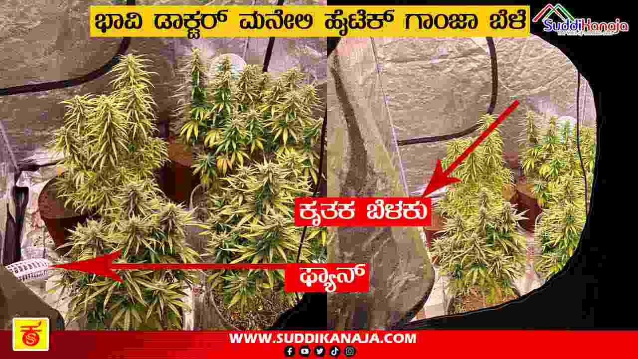 Ganja