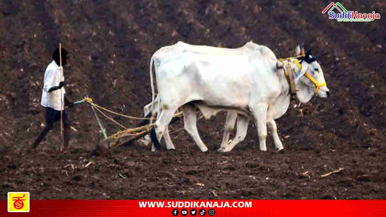 Sowing Monsoon