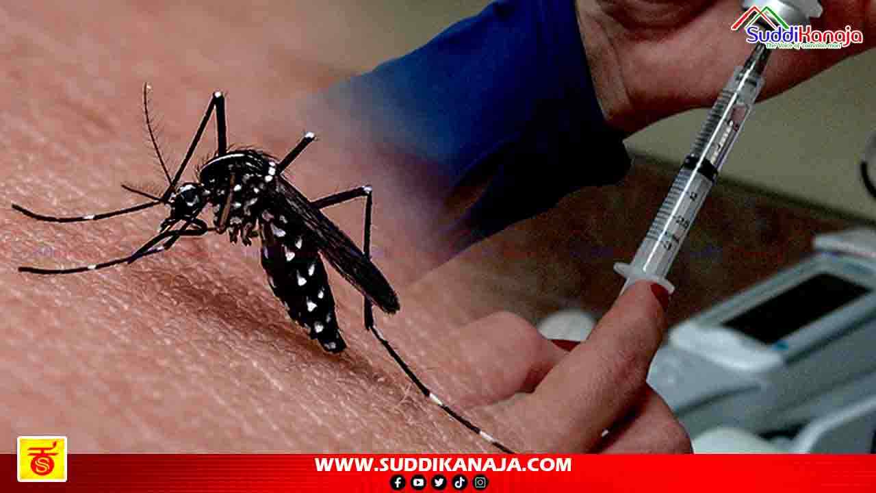 Dengue fever | ಶಂಕಿತ ಡೆಂಗೆಗೆ ಮೆಗ್ಗಾನ್ ಆಸ್ಪತ್ರೆ ನರ್ಸಿಂಗ್ ಆಫಿಸರ್ ಬಲಿ