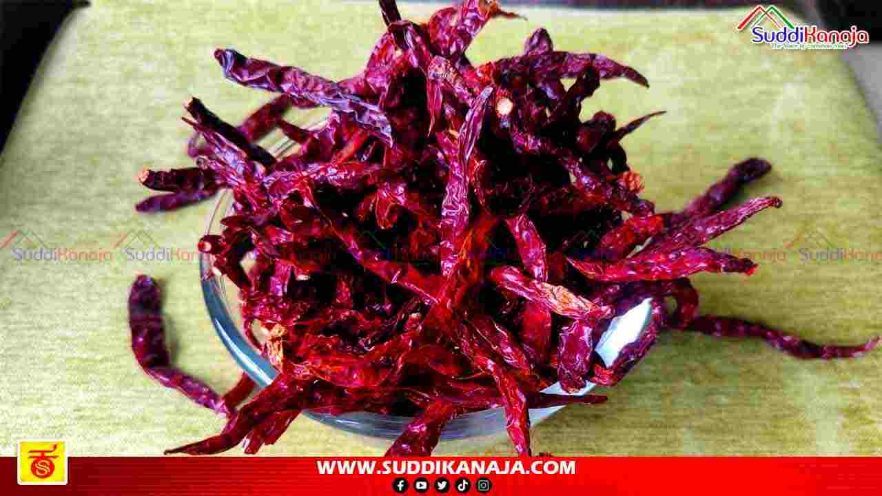 Byadagi chilli patent | ಶಿವಮೊಗ್ಗದ ಕೃಷಿ ಮತ್ತು ತೋಟಗಾರಿಕೆ ವಿವಿಗೆ ಬ್ಯಾಡಗಿ ಸಂಶೋಧನೆಗೆ ಪೇಟೆಂಟ್, ಕಾರಣವೇನು?