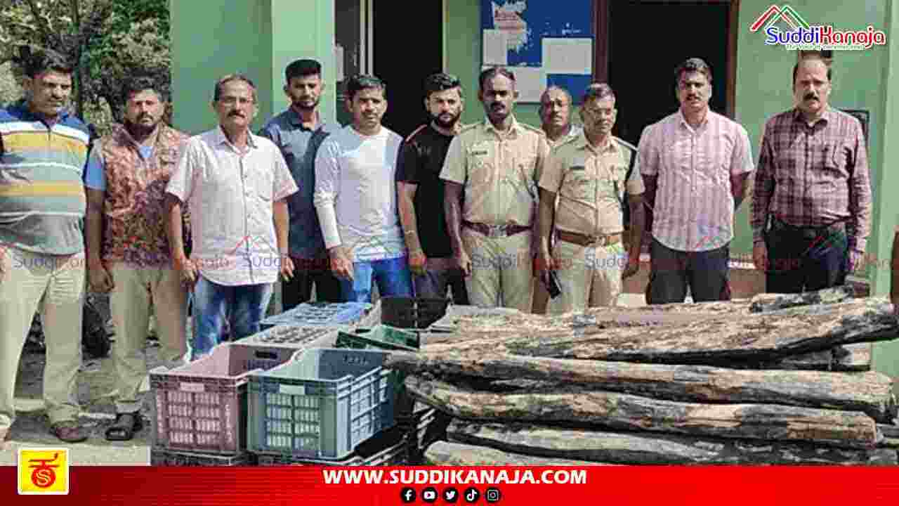 Nata seized | ಶಿವಮೊಗ್ಗದಲ್ಲಿ ಅಪರೂಪದ ಕರಿ‌ಮರ ನಾಟಾ ಸೀಜ್, ಕರ್ನಾಟಕದಲ್ಲೇ‌ ಇದು ಮೊದಲ ಕೇಸ್