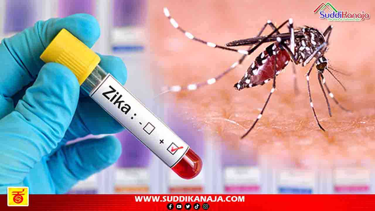 Zika Virus | ಝಿಕಾ ವೈರಸ್ ಸೋಂಕು, ಲಕ್ಷಣಗಳೇನು, ವಹಿಸಬೇಕಾದ ಎಚ್ಚರಿಕೆಗಳೇನು? ಪತ್ತೆ ಹೇಗೆ? ಇಲ್ಲಿದೆ ಕಂಪ್ಲೀಟ್ ಮಾಹಿತಿ